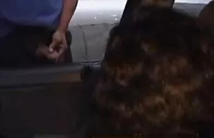 fodido por free video porno brasileiro uma pila preta