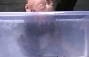 Kandie ver vídeo pornô grátis brasileiro Monaee monta um espectáculo de cam