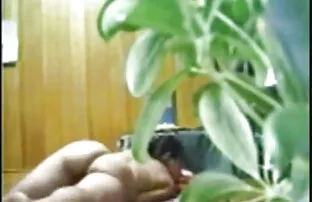 sexo de videos de sexo gratis nacional bebé grávida BBW